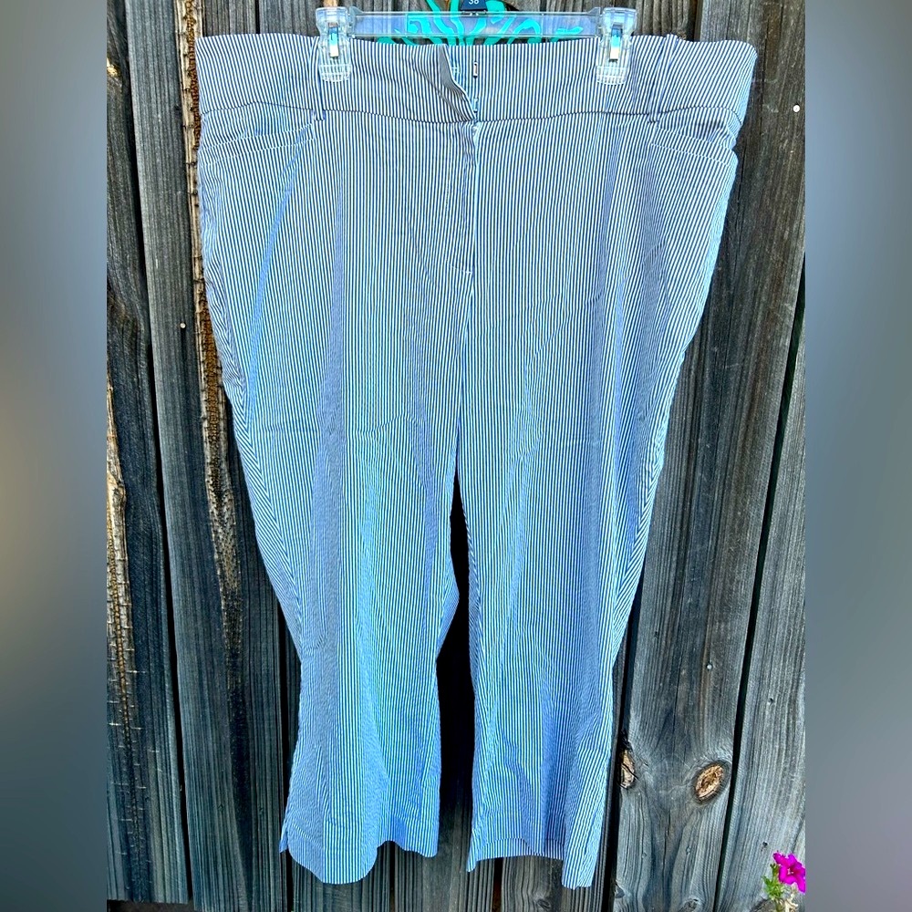 Lane Bryant Blue and White Pants